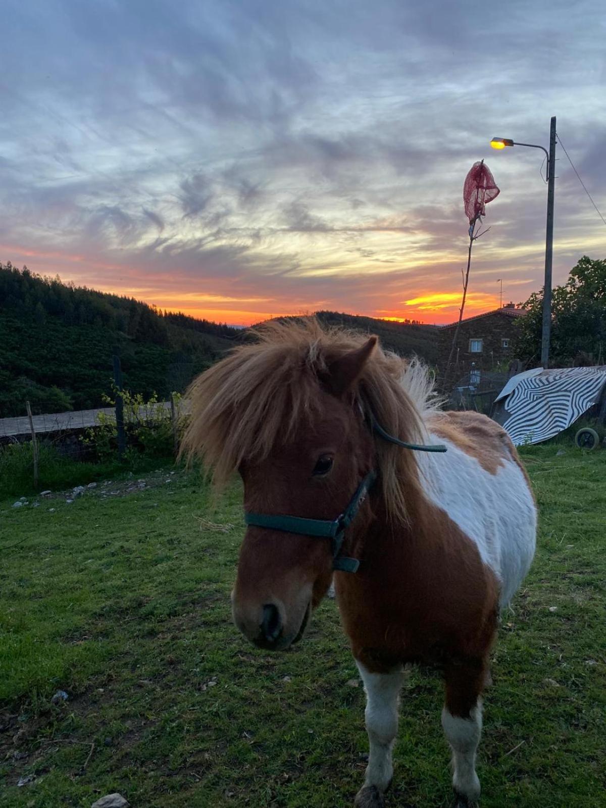 Casinha Por Do Sol Villa Aldeia das Dez Dış mekan fotoğraf